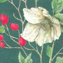 Christmas Roses and Hips  Italian Print Paper ~ Tassotti Italy